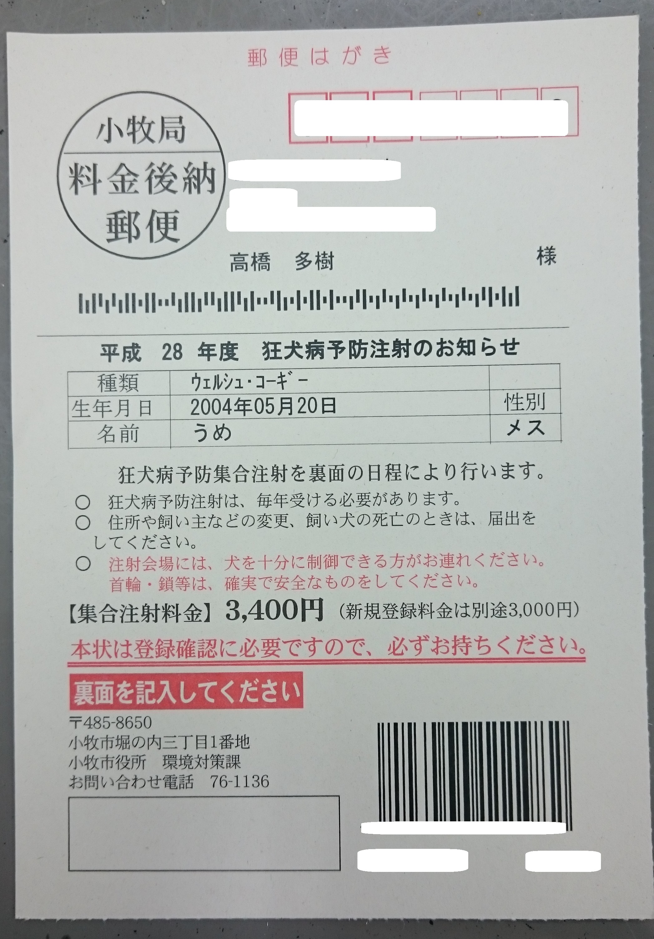 狂犬病予防注射について | たかはし動物病院/小牧市